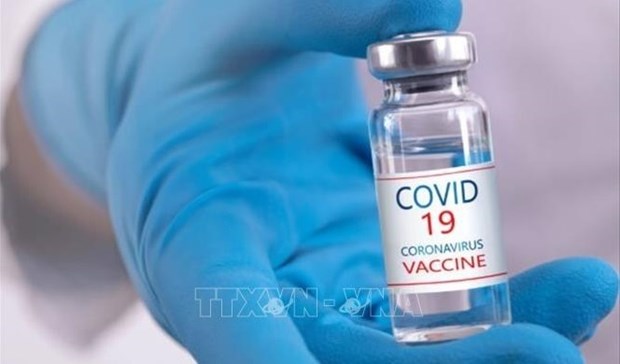 Recibira Vietnam este ano mas de 120 millones de dosis de vacuna contra el COVID-19 hinh anh 1