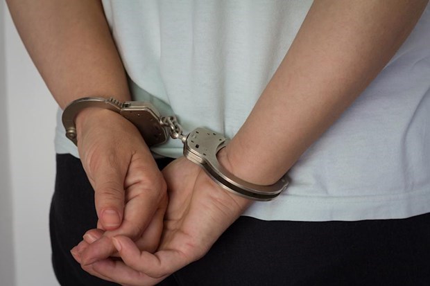 Singapur arrestra a exmaestra relacionada con Estado Islamico hinh anh 1