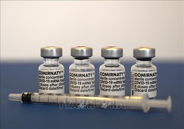 Aprueban Vietnam vacuna Comirnaty de Pfizer-BioNtech hinh anh 1