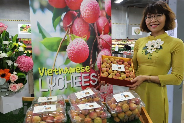 Lichi fresco vietnamita capta atencion de consumidores australianos hinh anh 1