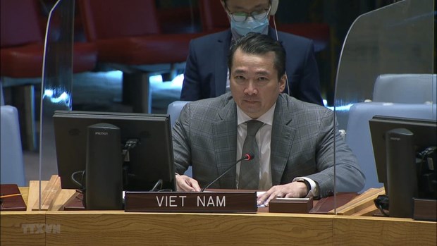 Vietnam llama a garantizar derechos humanos en Republica Centroafricana y Siria hinh anh 1
