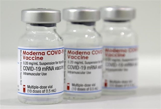 Vietnam aprueba vacuna de Moderna para el uso de emergencia hinh anh 1
