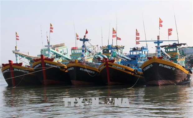 Provincia de Kien Giang refiuerza combate contra la pesca ilegal hinh anh 1