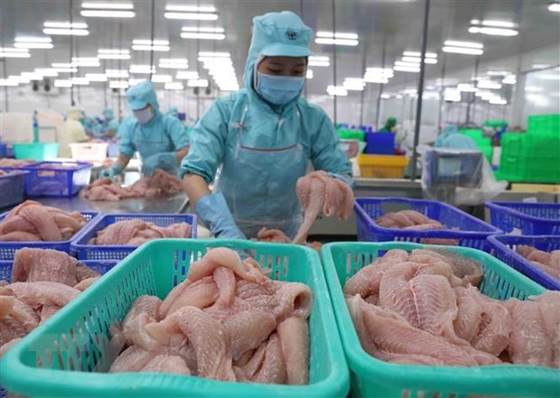 EE.UU. exime a dos exportadores vietnamitas del pescado Tra del impuesto antidumping hinh anh 1