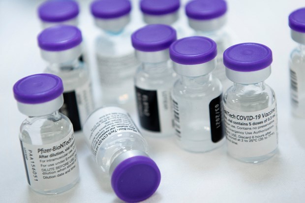 Primer lote de vacunas de Pfizer llegara a Vietnam en julio hinh anh 1
