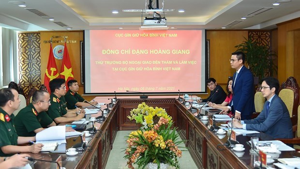 Empenado Vietnam en incorporarse a actividades de mantenimiento de paz hinh anh 2