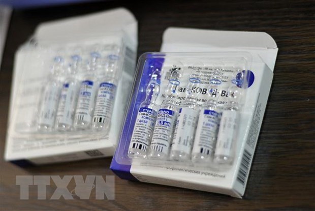 Indonesia y Rusia cooperan en produccion de vacuna contra el COVID-19 hinh anh 1