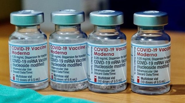 Mas de 97 mil dosis de la vacuna Pfizer/BioNtech llegaron a Vietnam hinh anh 1