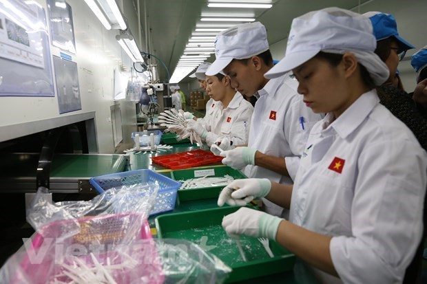 Escala de la economia de Vietnam figurara entre las mayores de la ASEAN hinh anh 1