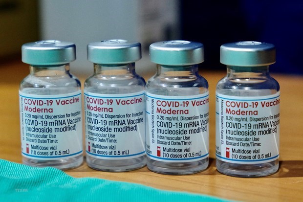 Vietnam llama a impulsar intercambio de informacion sobre vacunas contra COVID-19 hinh anh 1