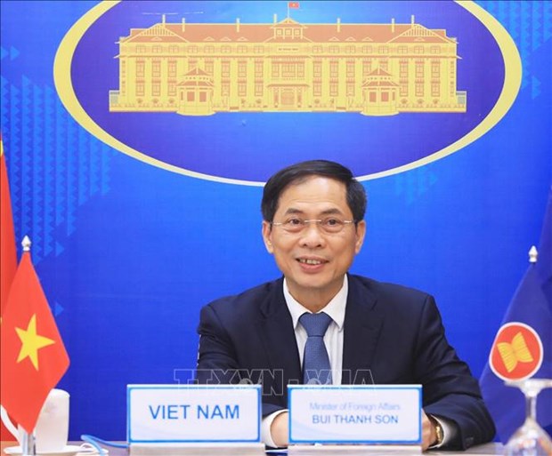 Diplomacia vietnamita debe cenirse a politica exterior del XIII Congreso partidista, afirmo canciller hinh anh 1