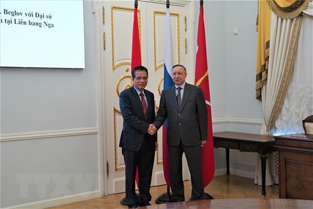 San Petersburgo robustece cooperacion con localidades vietnamitas hinh anh 1