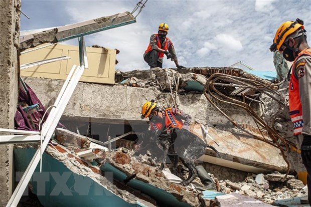 Terremoto de magnitud 5,9 sacude region surena de Indonesia hinh anh 1