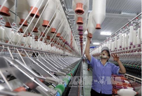 Vietnam realizara consulta sobre investigacion antidumping a fibras de poliester importadas hinh anh 1