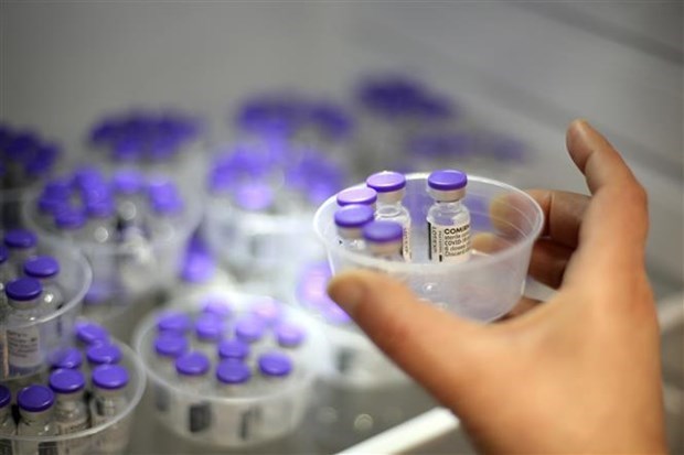 ASEAN llama a intensificar la produccion de vacunas hinh anh 1