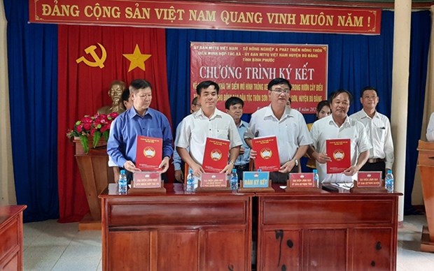 Promueven en provincia vietnamita vinculos productivos entre minorias etnicas hinh anh 1