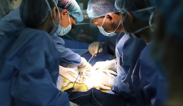 Vietnam realiza con exito primer trasplante de higado para nina con cancer avanzado hinh anh 1