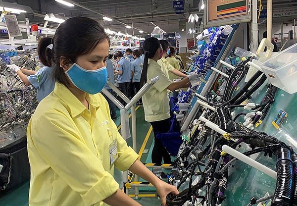 Provincia vietnamita Vinh Phuc apoya mejora de capacidad de produccion de establecimientos hinh anh 1