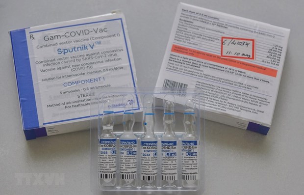 Comunidad vietnamita en Rusia apoya Fondo Nacional de Vacunas contra el COVID-19 hinh anh 1