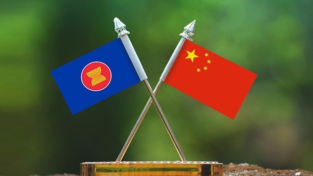 Campamento juvenil China-ASEAN promueve intercambio mediatico bilateral hinh anh 1