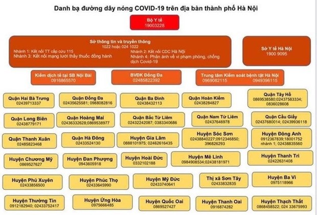 Hanoi publica las lineas directas de COVID-19 hinh anh 1