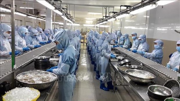 Vietnam reporta superavit comercial de productos agroforestales y pesqueros hinh anh 1