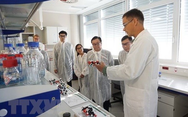 Vietnam y Austria promueven cooperacion en ciencias aplicadas hinh anh 1