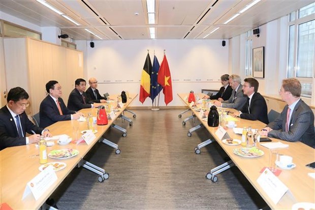 Vietnam busca vigorizar la cooperacion con Belgica hinh anh 2