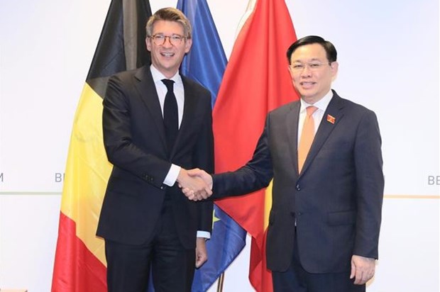 Vietnam busca vigorizar la cooperacion con Belgica hinh anh 1