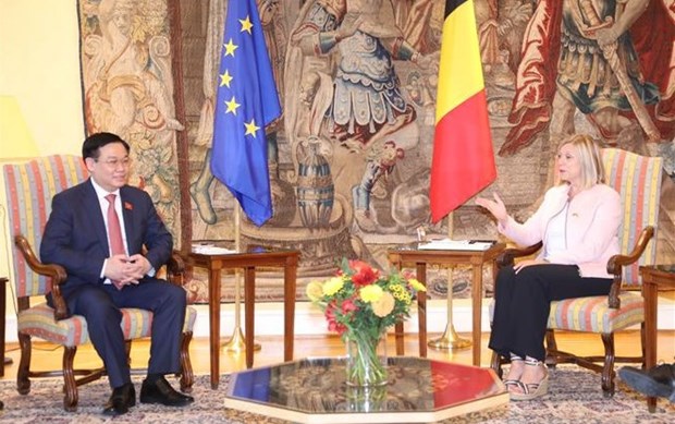 Vietnam aspira a fortalecer relaciones multifaceticas con Belgica hinh anh 1