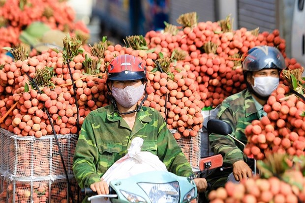 Vietnam y China buscan facilitar el comercio bilateral hinh anh 1