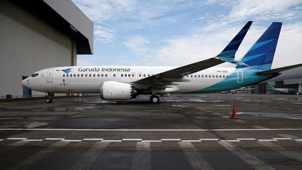 Aerolinea nacional de Indonesia disminuira drasticamente su flota hinh anh 1
