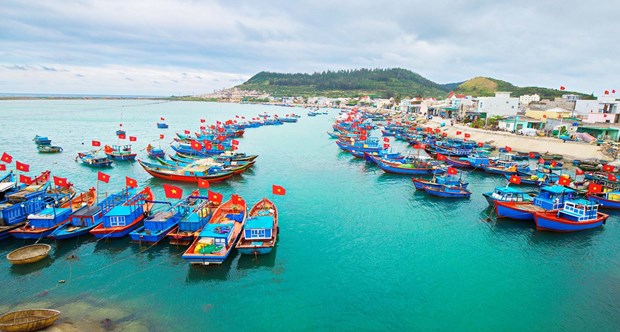 Provincia vietnamita por desarrollo del sector maritimo hinh anh 1