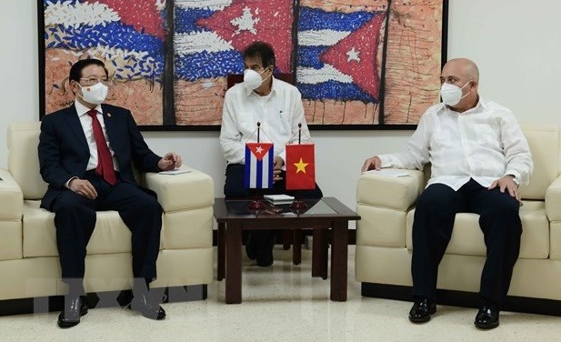 Vietnam y Cuba intercambian experiencias en construccion partidista hinh anh 1