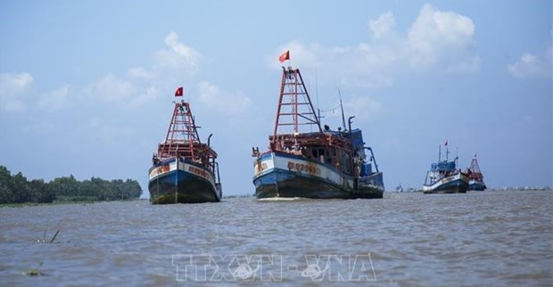 Provincia vietnamita de Kien Giang por eliminar pesca ilegal hinh anh 1