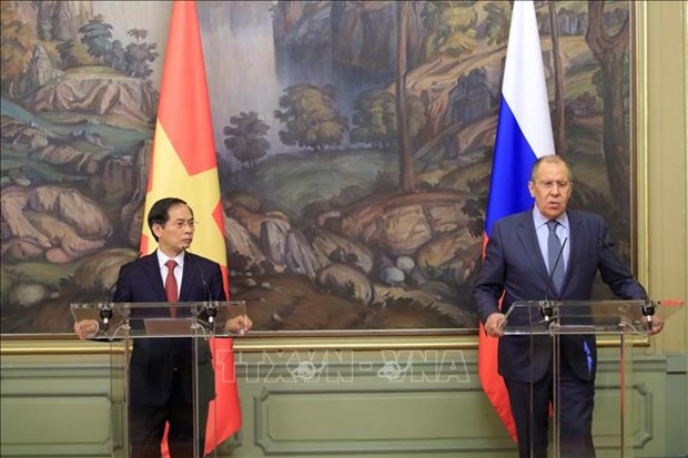 Rusia es socio importante y confiable de Vietnam, afirma su canciller hinh anh 2