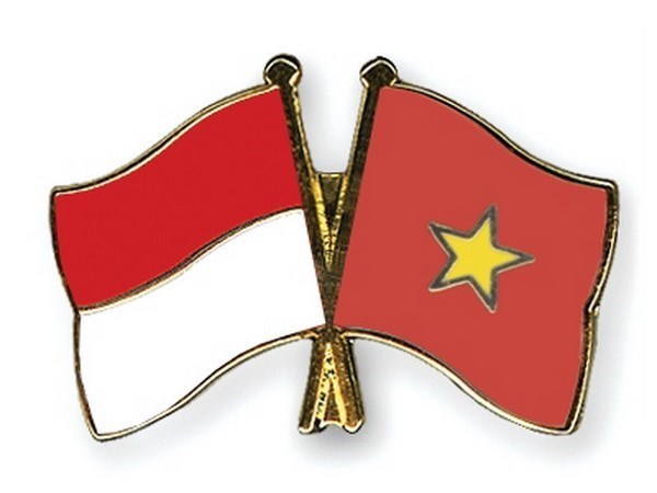Vietnam e Indonesia estudian ampliar la cooperacion en medicina militar hinh anh 1