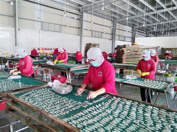 Provincia vietnamita de Phu Tho busca soluciones para recuperacion de mercado laboral hinh anh 1