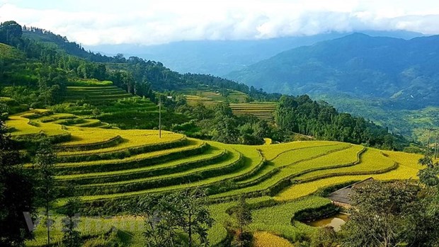 Vietnam se empena en garantizar seguridad en turismo pos-COVID-19 hinh anh 1