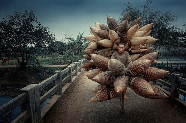 Honrada obra vietnamita en concurso internacional de fotografia hinh anh 1