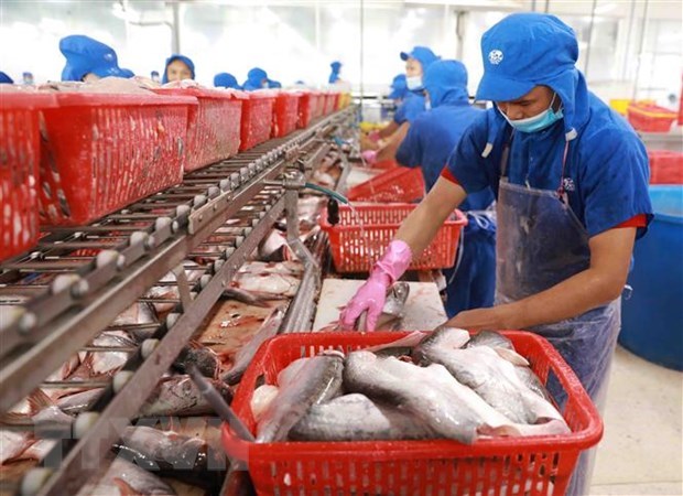 Vietnam y UE promueven cooperacion en agrosilvicultura y acuicultura hinh anh 1