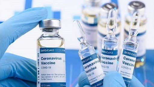 Vietnam destaca necesidad de distribucion justa de vacunas contra el COVID-19 hinh anh 1