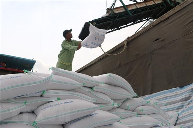 Aumentan precios del arroz de Vietnam hinh anh 1