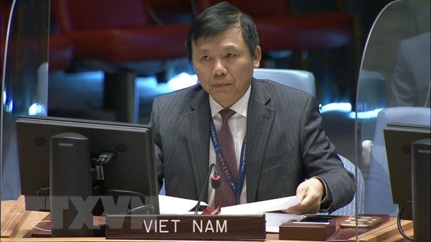 Vietnam convoca apoyo internacional para la Republica Democratica del Congo hinh anh 1