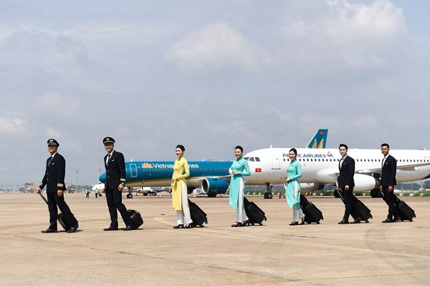 Solicitan reabrir vuelos desde y hacia mayores ciudades de Vietnam hinh anh 1