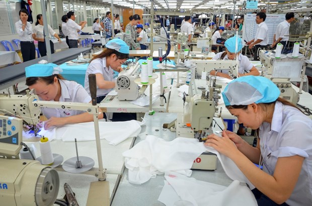 Vietnam y Taiwan (China) intensifican cooperacion en la industria textil hinh anh 1