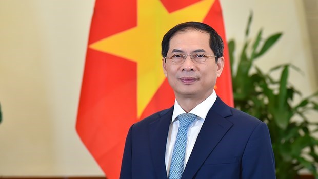 Vietnam llama a fortalecer cooperacion internacional en respuesta a pandemia hinh anh 1