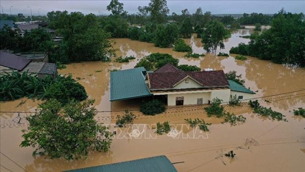 Vietnam une esfuerzos con el mundo por reducir desastres naturales hinh anh 2