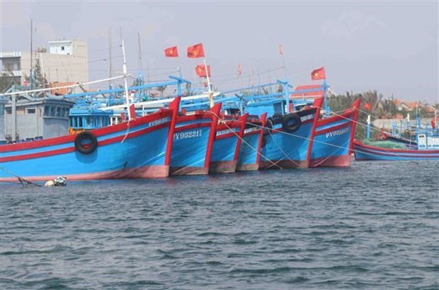 Vietnam se esmera en promover la pesca responsable y sostenible hinh anh 1
