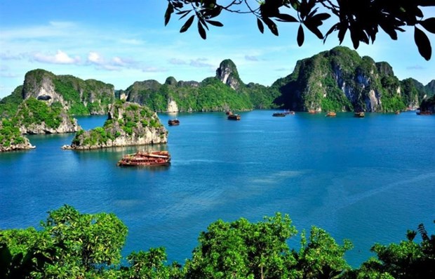 Vietnam y Colombia cooperan en promocion turistica hinh anh 1
